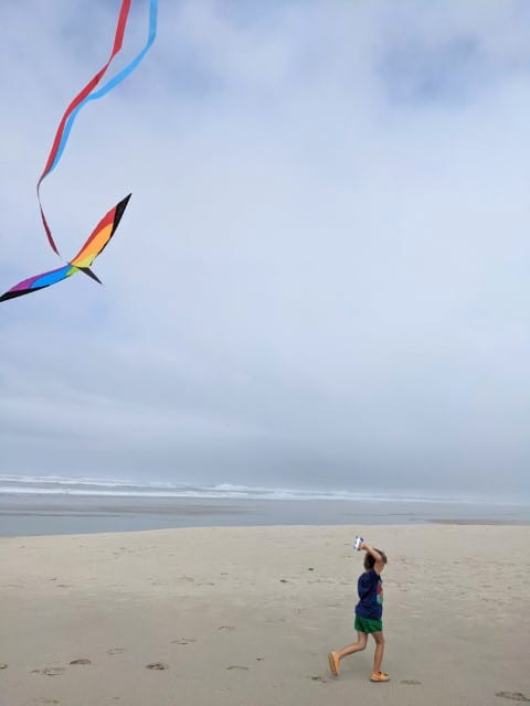 Flying kites on the Oregon Coast