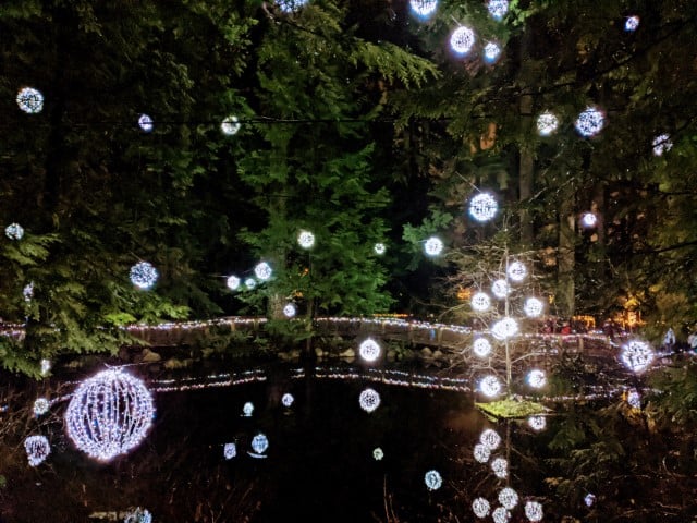 white balls of light are strung from above and reflect in the water below.  The background, evergreen trees and a lighted pathway are visible,