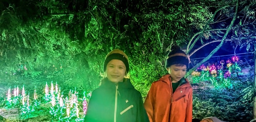 Two children with trees and flowers made of lights behind. 