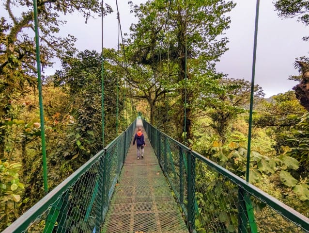 Hanging bridges, Selvatura Adventure Park, Monteverde, Costa Rica.  A child walks across a hanging bridge in the jungle. 