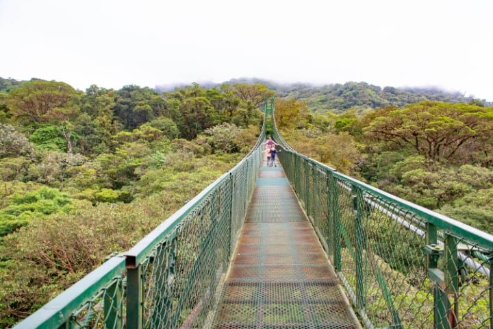 A family walks a long bridge over the jungle at Selvatura Adventure Park, Monteverde, Costa Rica. 