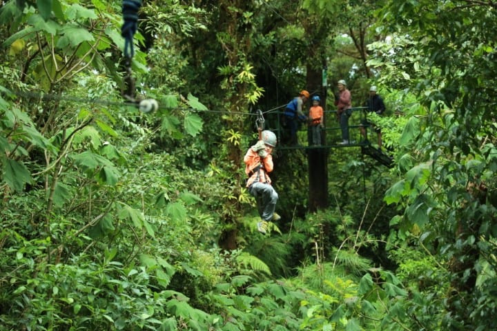 Ziplining at Selvatura Adventure Park, Monteverde, Costa Rica.  A child wearing a helmet and gloves is ziplining through the jungle!